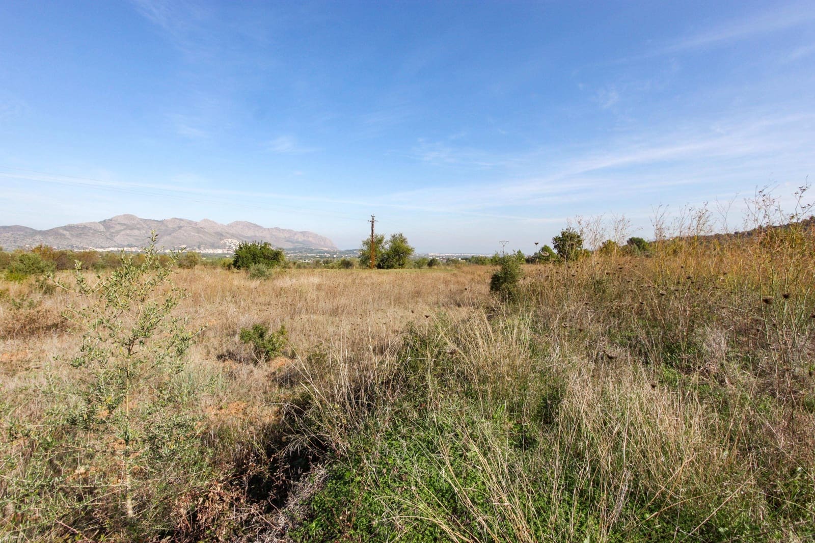 Undeveloped Land for sale in Orba - € 145,000 (Ref: 8649074)