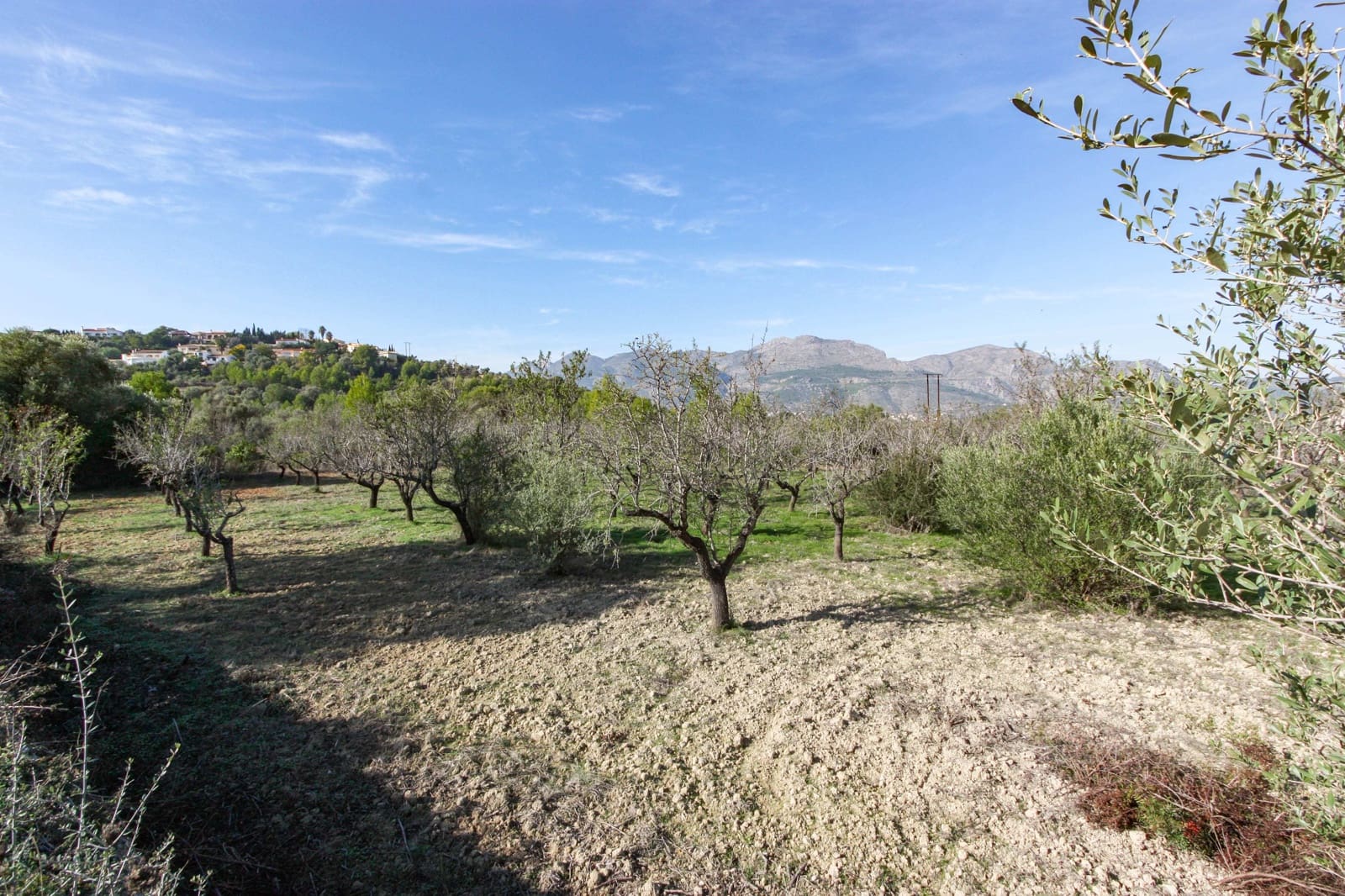 Undeveloped Land for sale in Orba - € 145,000 (Ref: 8649074)