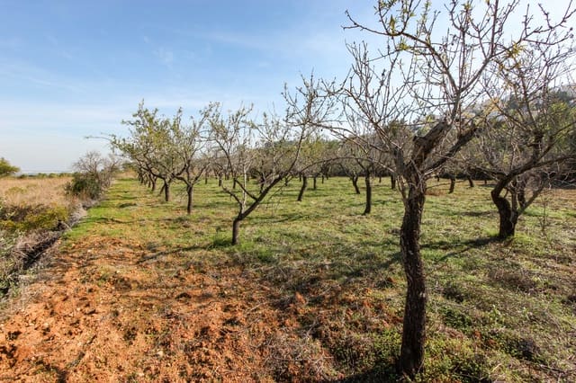 Undeveloped Land for sale in Orba - € 145,000 (Ref: 8649074)
