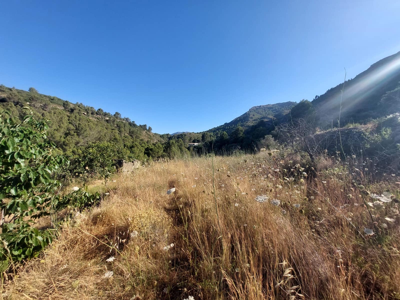 Grunde uden byggetilladelser til salg i Jalon / Xalo - € 149.000 (Ref: 8649075)