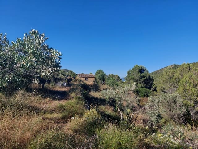 Undeveloped Land for sale in Jalón / Xaló - € 149,000 (Ref: 8649075)