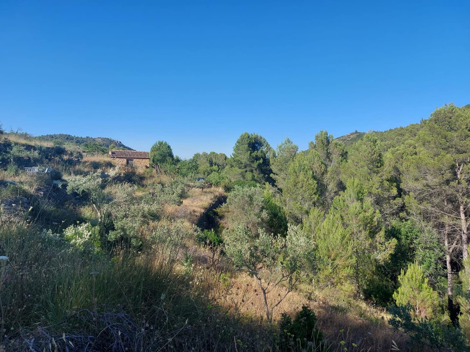 Grunde uden byggetilladelser til salg i Jalon / Xalo - € 149.000 (Ref: 8649075)