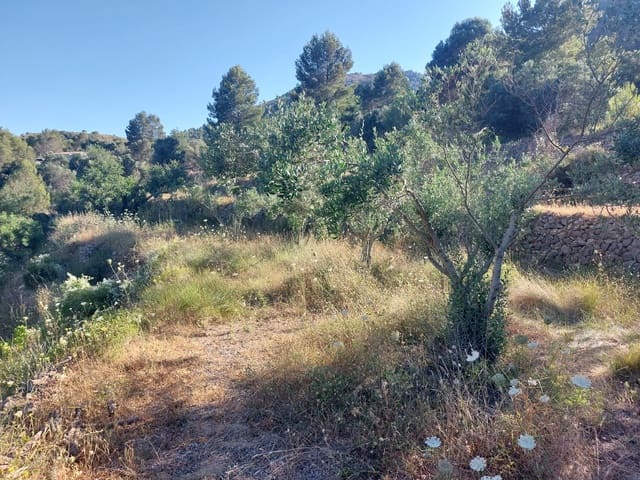 Undeveloped Land for sale in Jalón / Xaló - € 149,000 (Ref: 8649075)