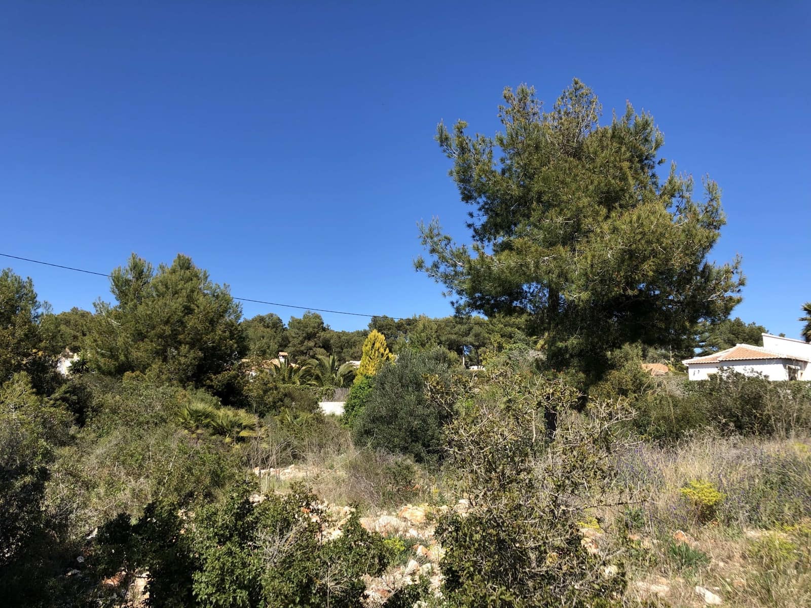 Ubebygd land til salgs i Javea / Xabia - € 445 000 (Ref: 8671229)