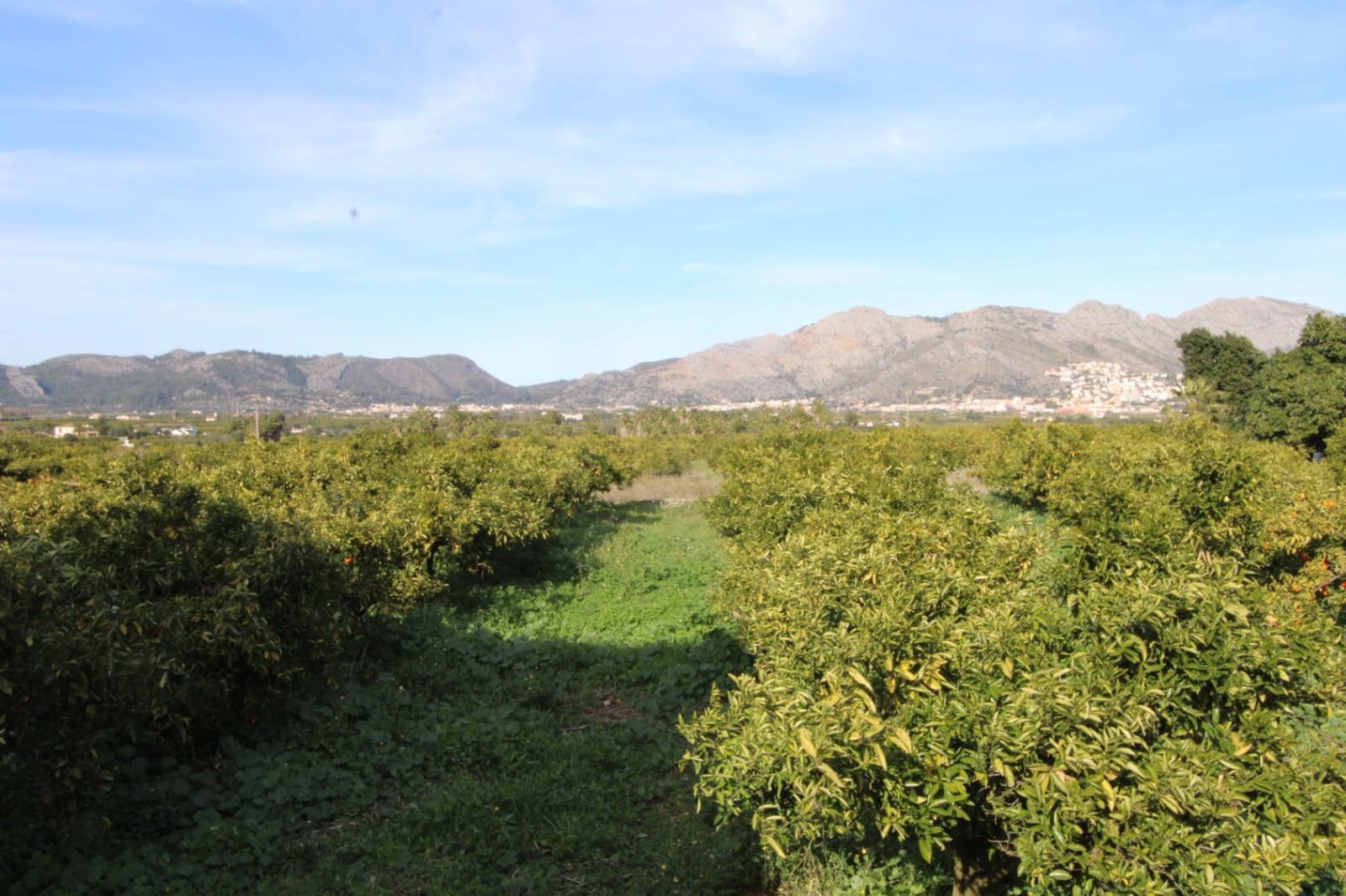 4 soveværelse Villa til salg i Benidoleig med swimmingpool garage - € 575.000 (Ref: 8790164)