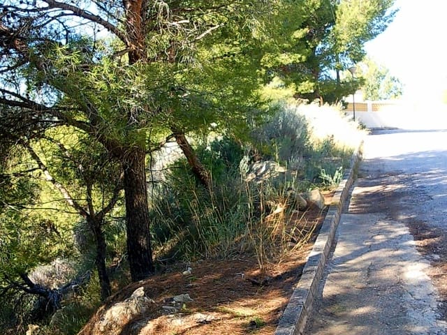 Undeveloped Land for sale in Calpe / Calp - € 210,000 (Ref: 8826491)