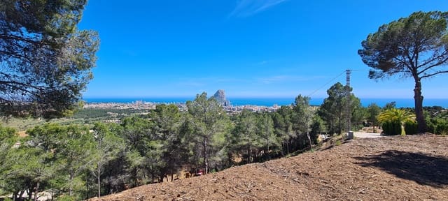 Teren niezagospodarowany na sprzedaż w Calpe / Calp - 595 000 € (Ref: 8826506)