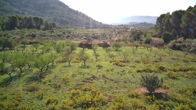 Undeveloped Land for sale in Murla - € 100,000 (Ref: 8960757)