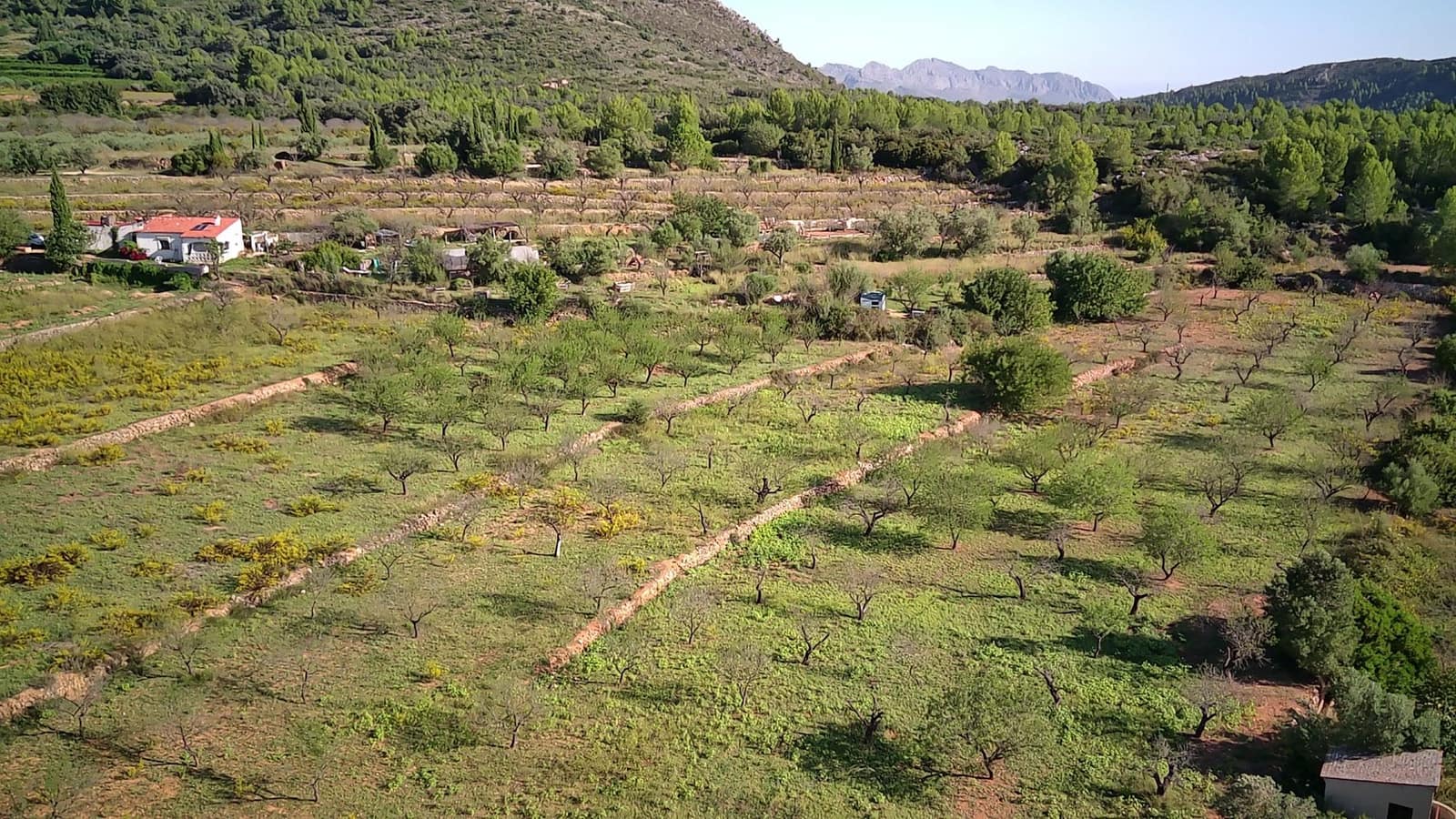 Mark till salu i Murla - 100 000 € (Ref: 8960757)