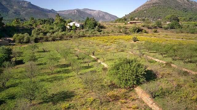 Undeveloped Land for sale in Murla - € 100,000 (Ref: 8960757)