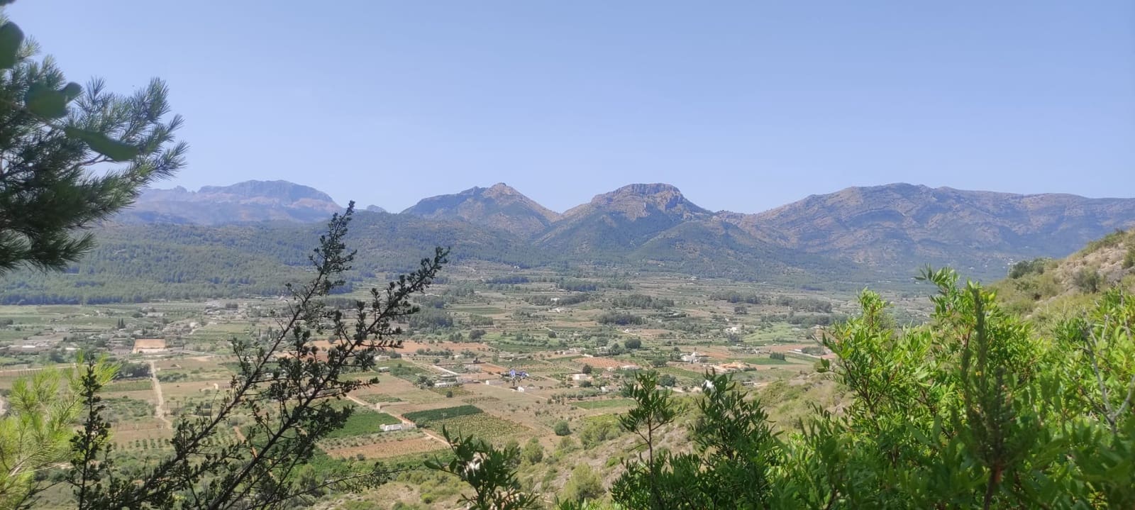 Grond te koop in Jalon / Xalo - € 90.000 (Ref: 9084266)