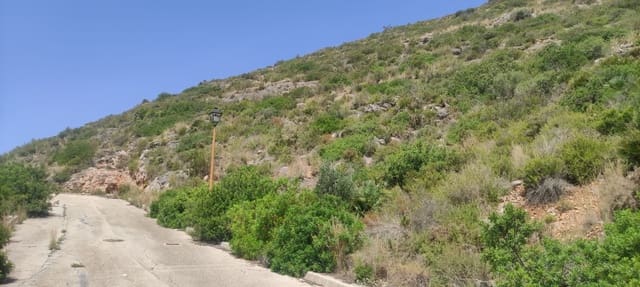 Undeveloped Land for sale in Jalón / Xaló - € 80,000 (Ref: 9084267)