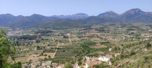 Undeveloped Land for sale in Jalón / Xaló - € 80,000 (Ref: 9084267)