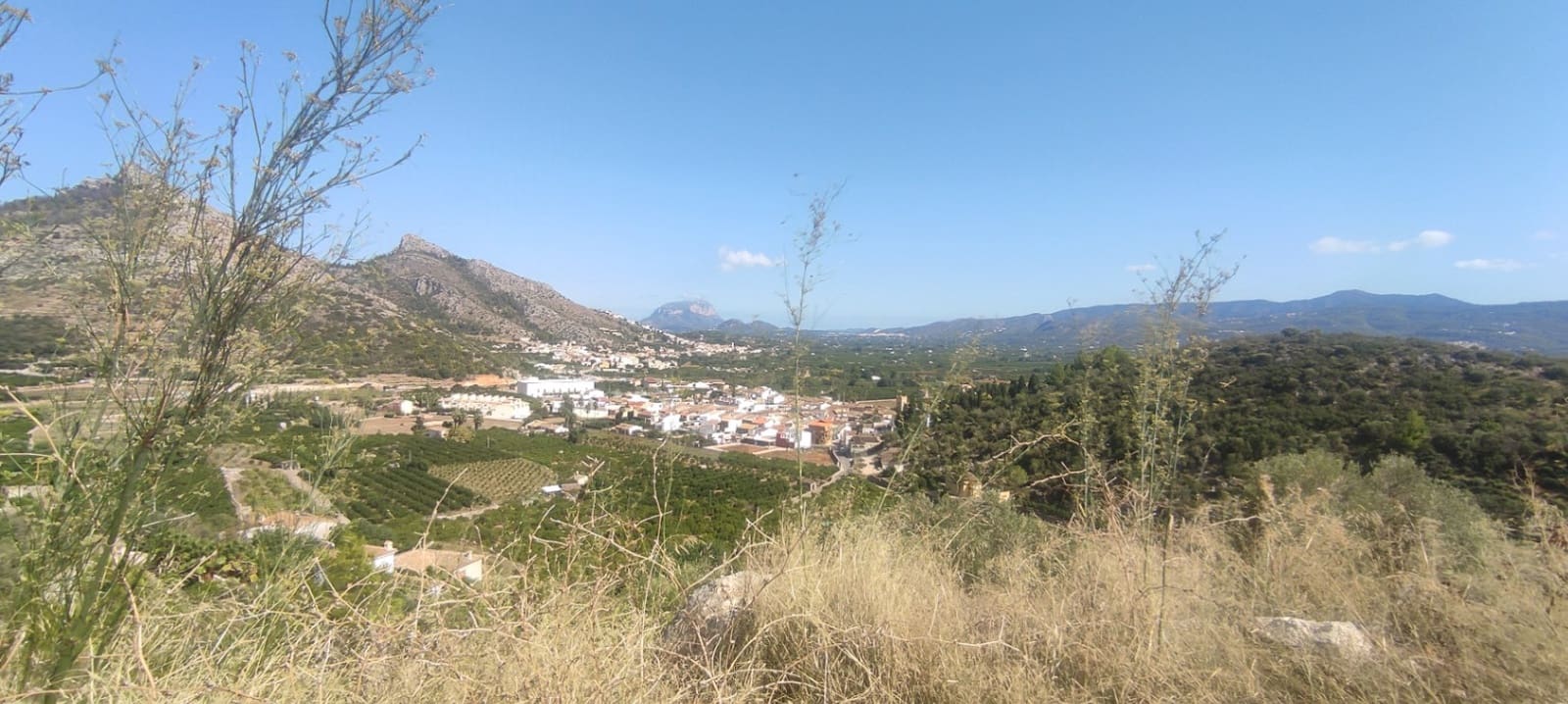 Mark till salu i Rafol de Almunia - 110 000 € (Ref: 9566345)