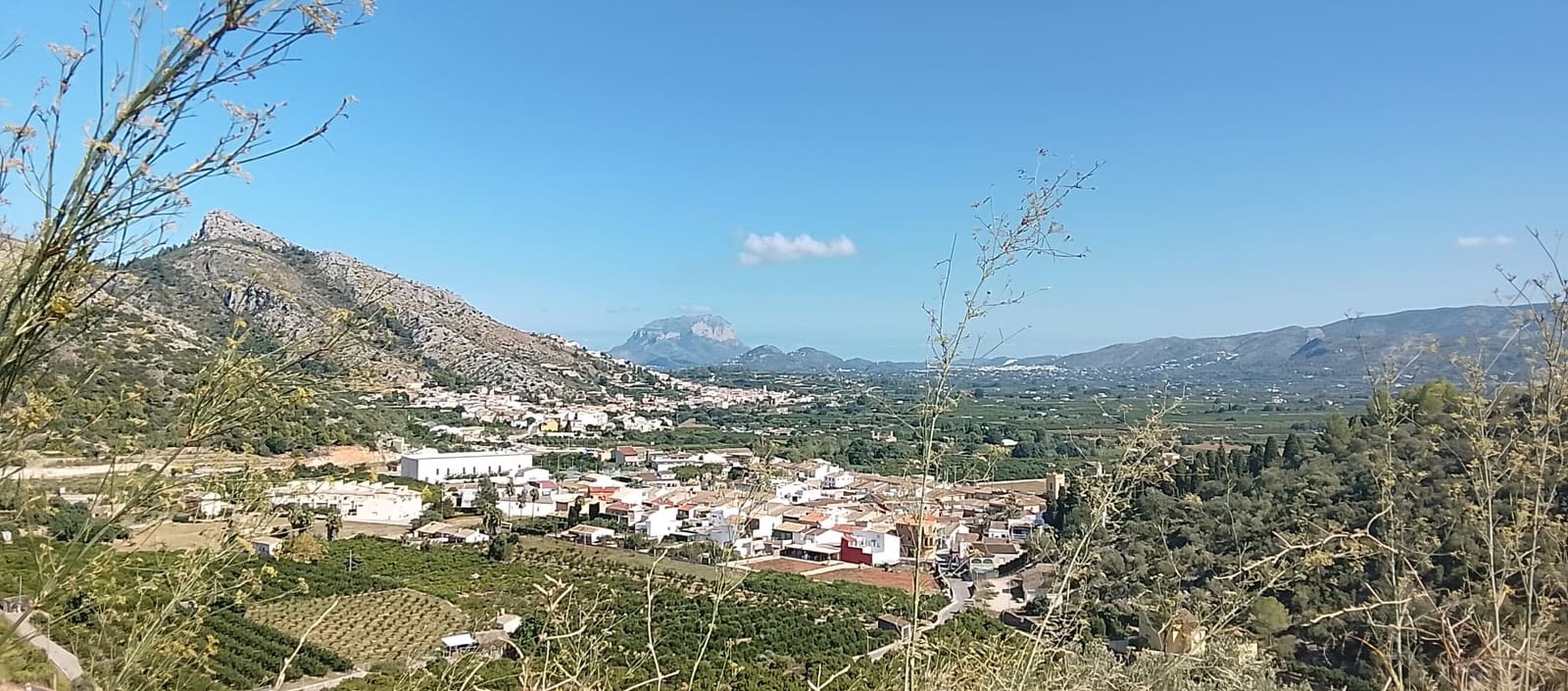 Mark till salu i Rafol de Almunia - 110 000 € (Ref: 9566345)