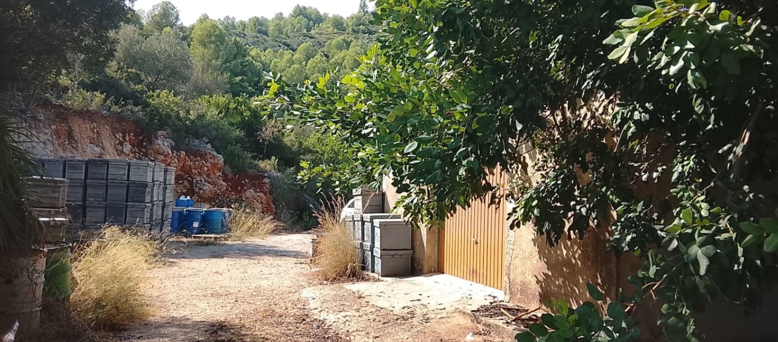 Mark till salu i Rafol de Almunia - 110 000 € (Ref: 9566345)