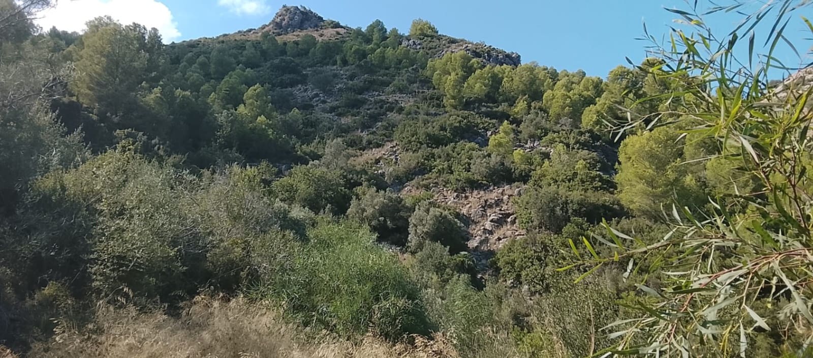 Mark till salu i Rafol de Almunia - 110 000 € (Ref: 9566345)