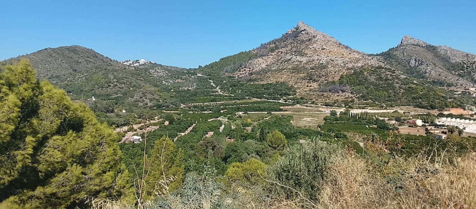 Mark till salu i Rafol de Almunia - 110 000 € (Ref: 9566345)