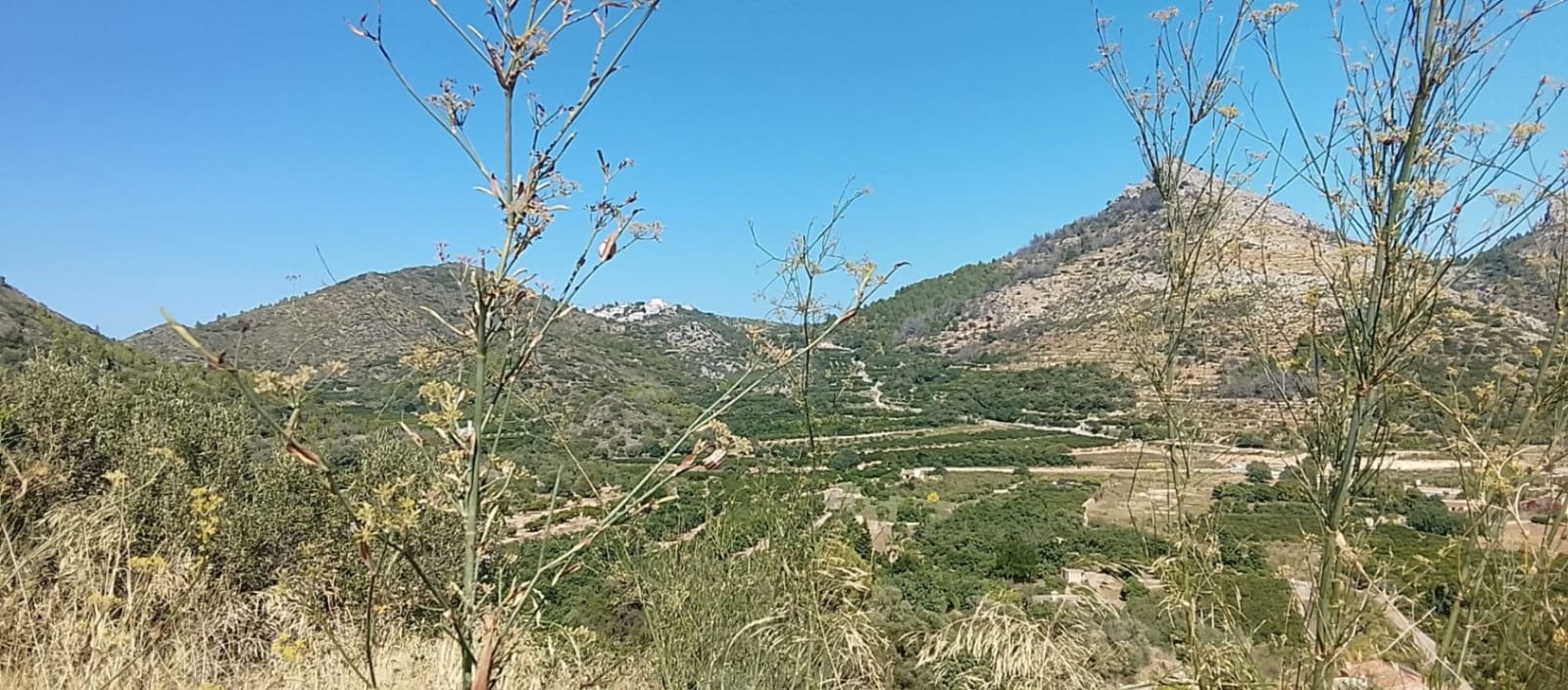 Mark till salu i Rafol de Almunia - 110 000 € (Ref: 9566345)