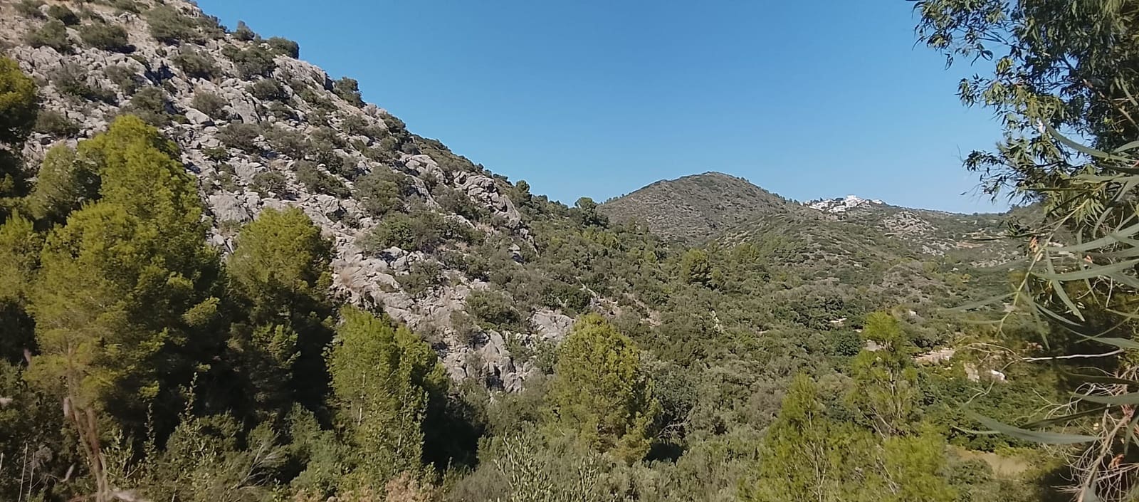 Mark till salu i Rafol de Almunia - 110 000 € (Ref: 9566345)