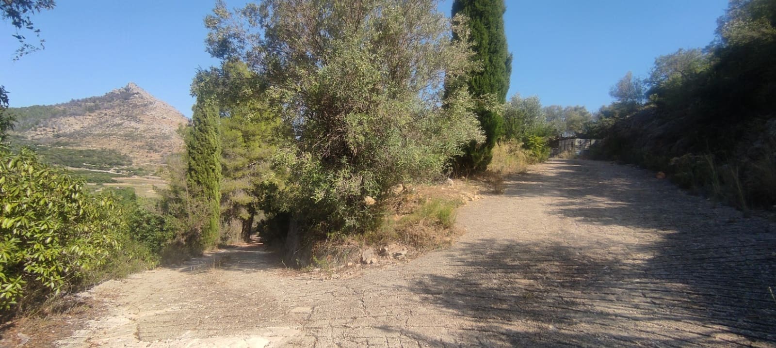 Mark till salu i Rafol de Almunia - 110 000 € (Ref: 9566345)