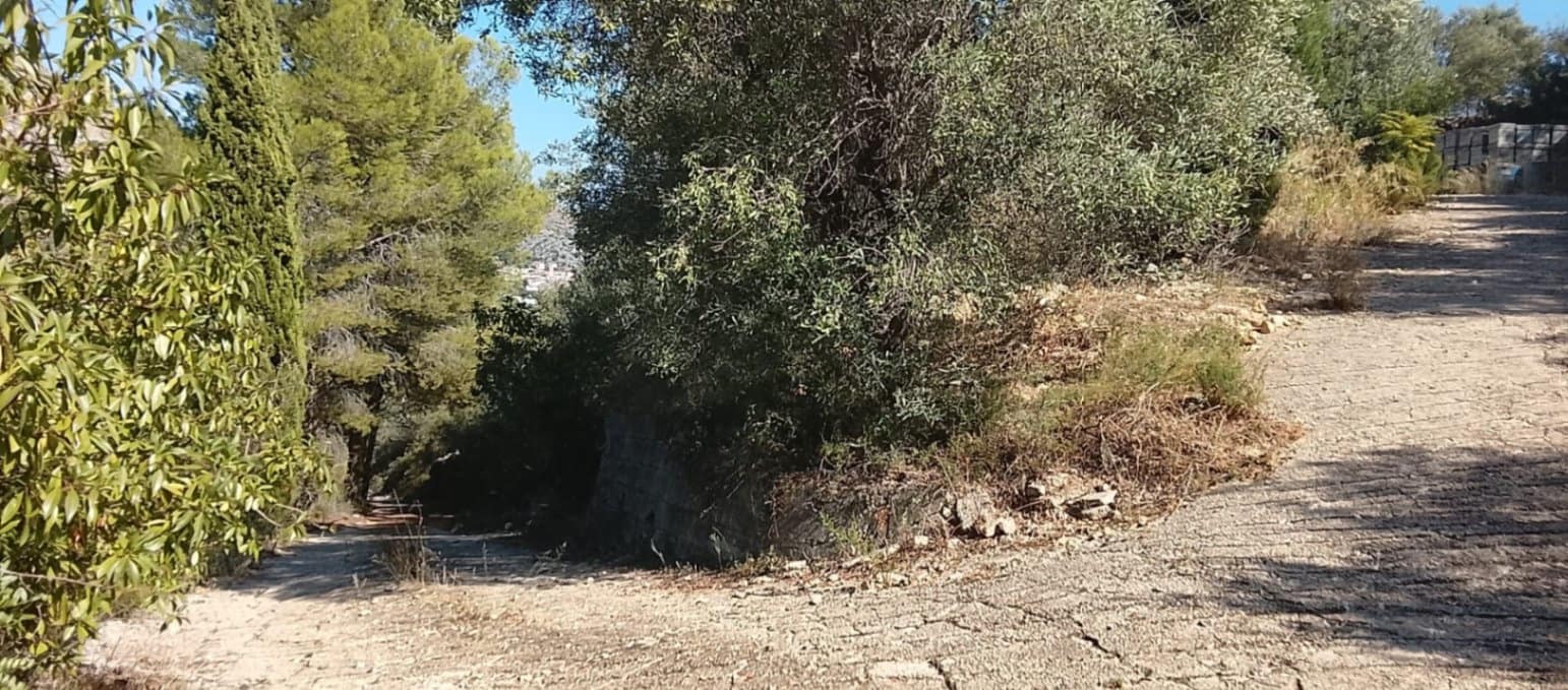 Mark till salu i Rafol de Almunia - 110 000 € (Ref: 9566345)