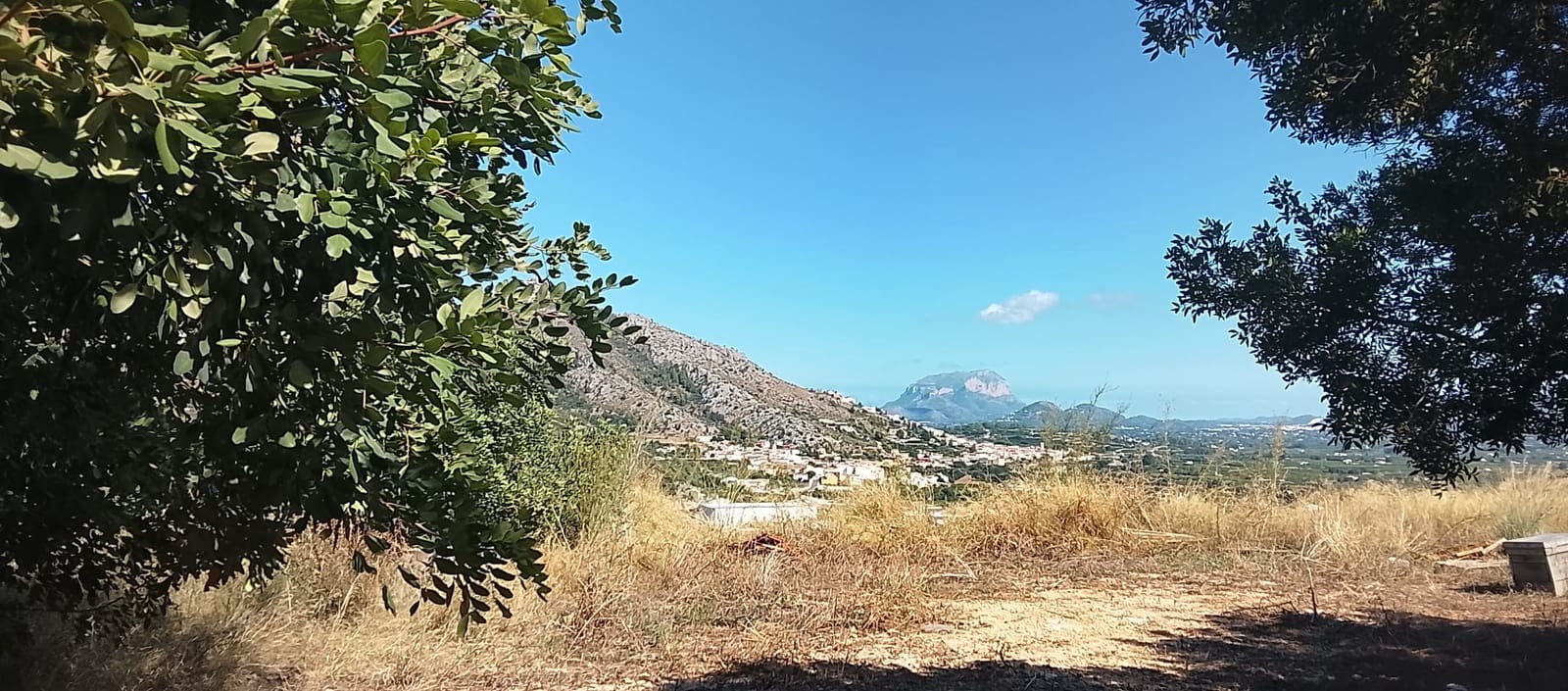 Mark till salu i Rafol de Almunia - 110 000 € (Ref: 9566345)