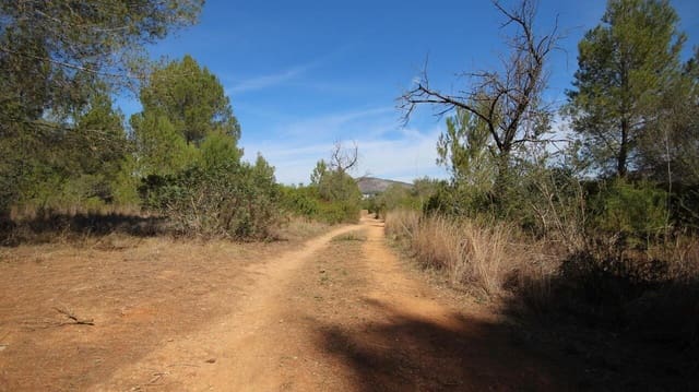 Tomt till salu i Jalón / Xaló - 350 000 € (Ref: 9566364)