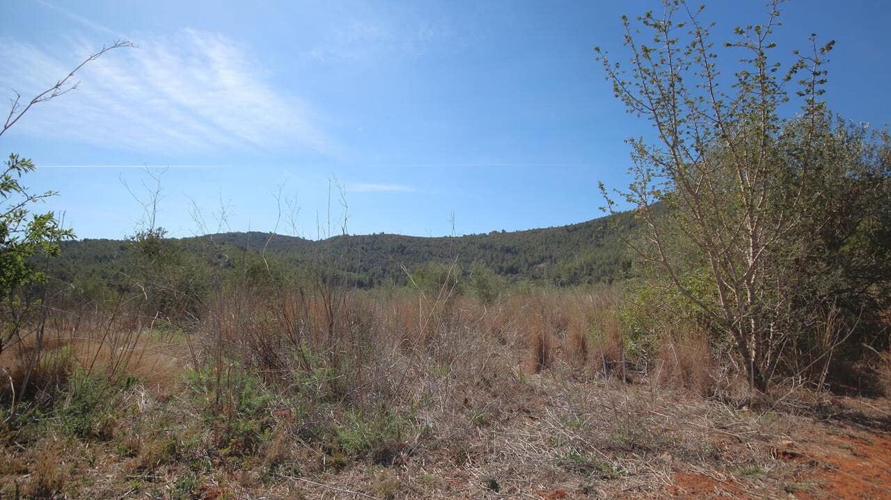 Byggetomt til salgs i Jalon / Xalo - € 350 000 (Ref: 9566364)