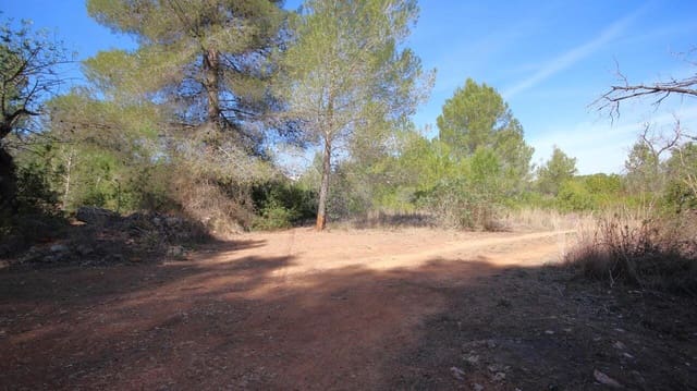 Tomt till salu i Jalón / Xaló - 350 000 € (Ref: 9566364)