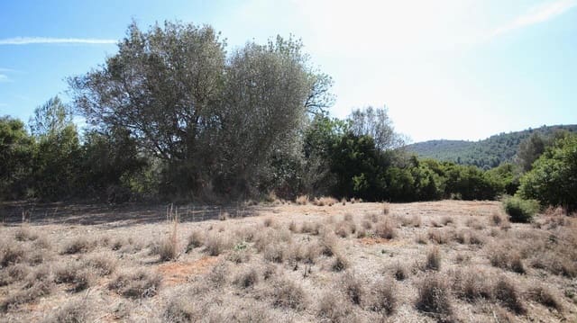 Tomt till salu i Jalón / Xaló - 350 000 € (Ref: 9566364)