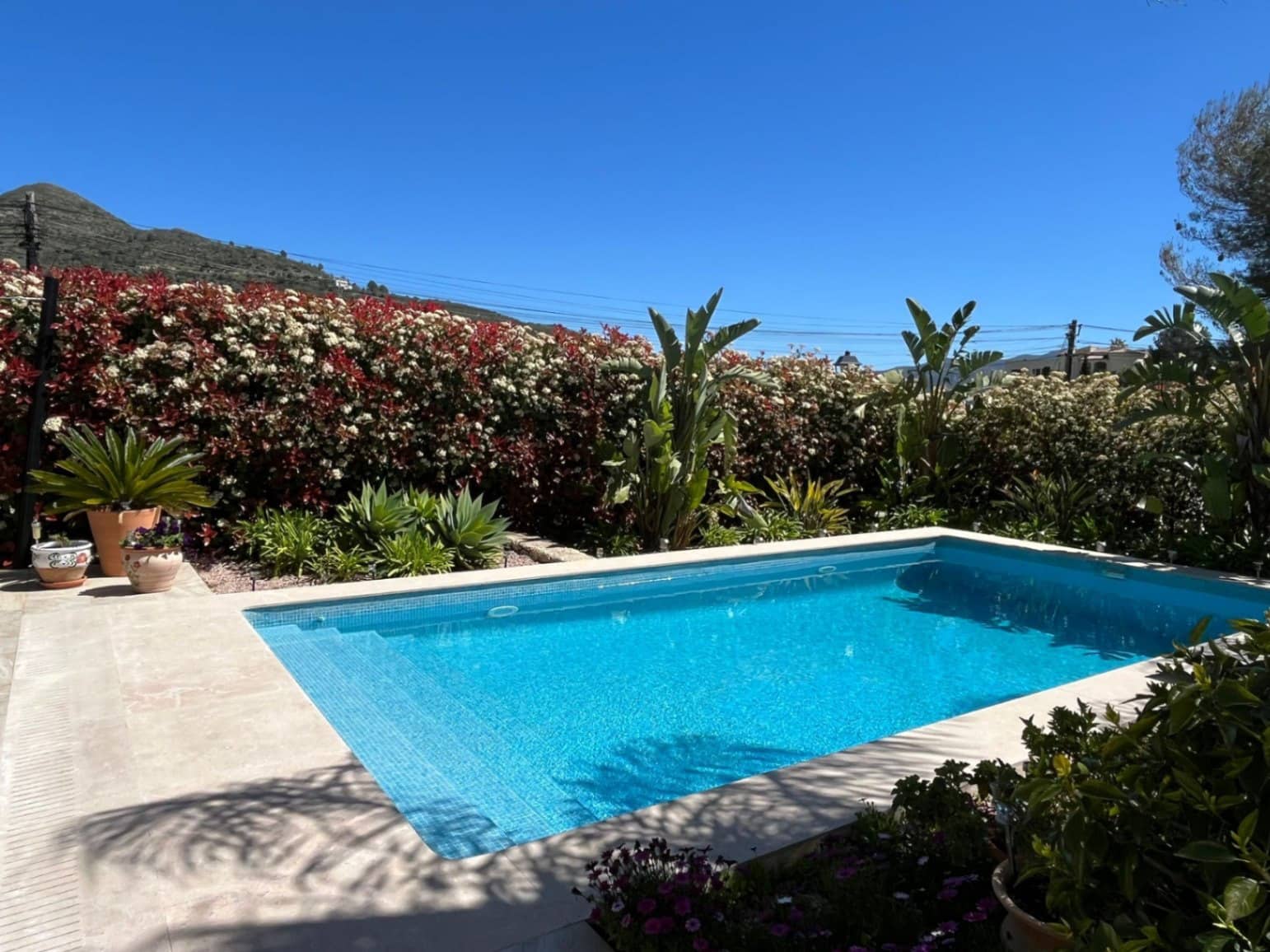 1 sypialnia Willa na sprzedaż w Alcalali / Alcanali z basenem garażem - 585 000 € (Ref: 9753421)