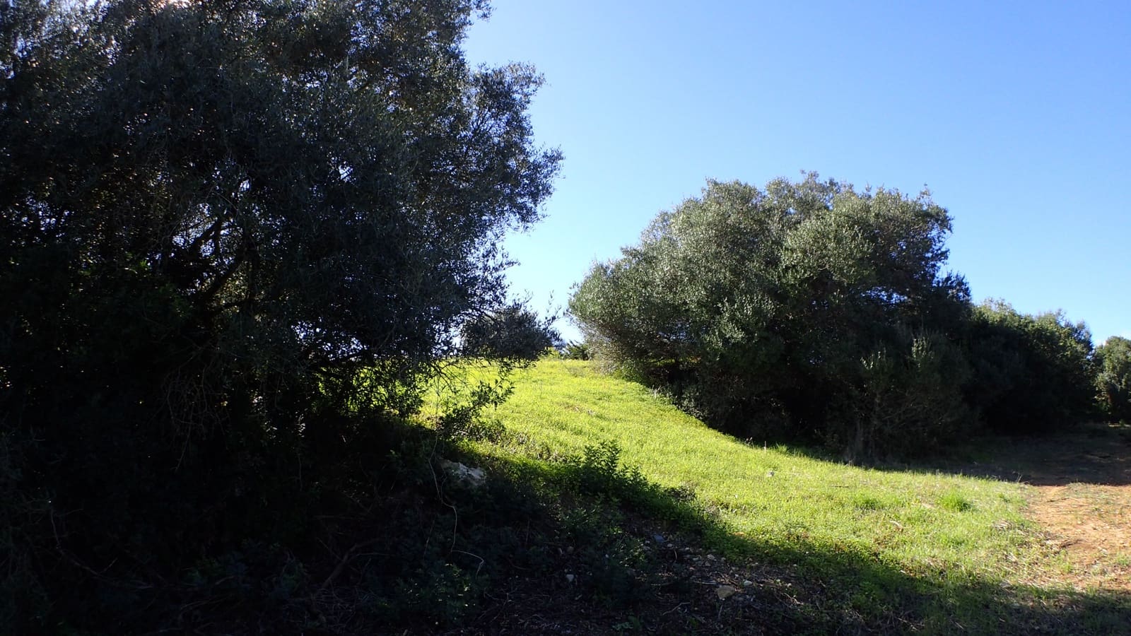 Byggegrund til salg i Sotogrande - € 395.000 (Ref: 6685403)