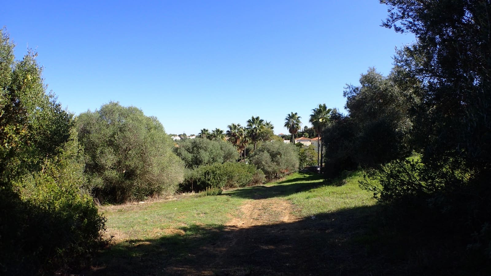 Byggegrund til salg i Sotogrande - € 395.000 (Ref: 6685403)