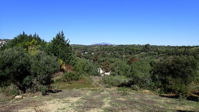 Area Edificabile in vendita in Sotogrande Alto, San Roque - 395.000 € (Rif: 6685403)