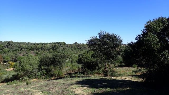 Area Edificabile in vendita in Sotogrande Alto, San Roque - 395.000 € (Rif: 6685403)