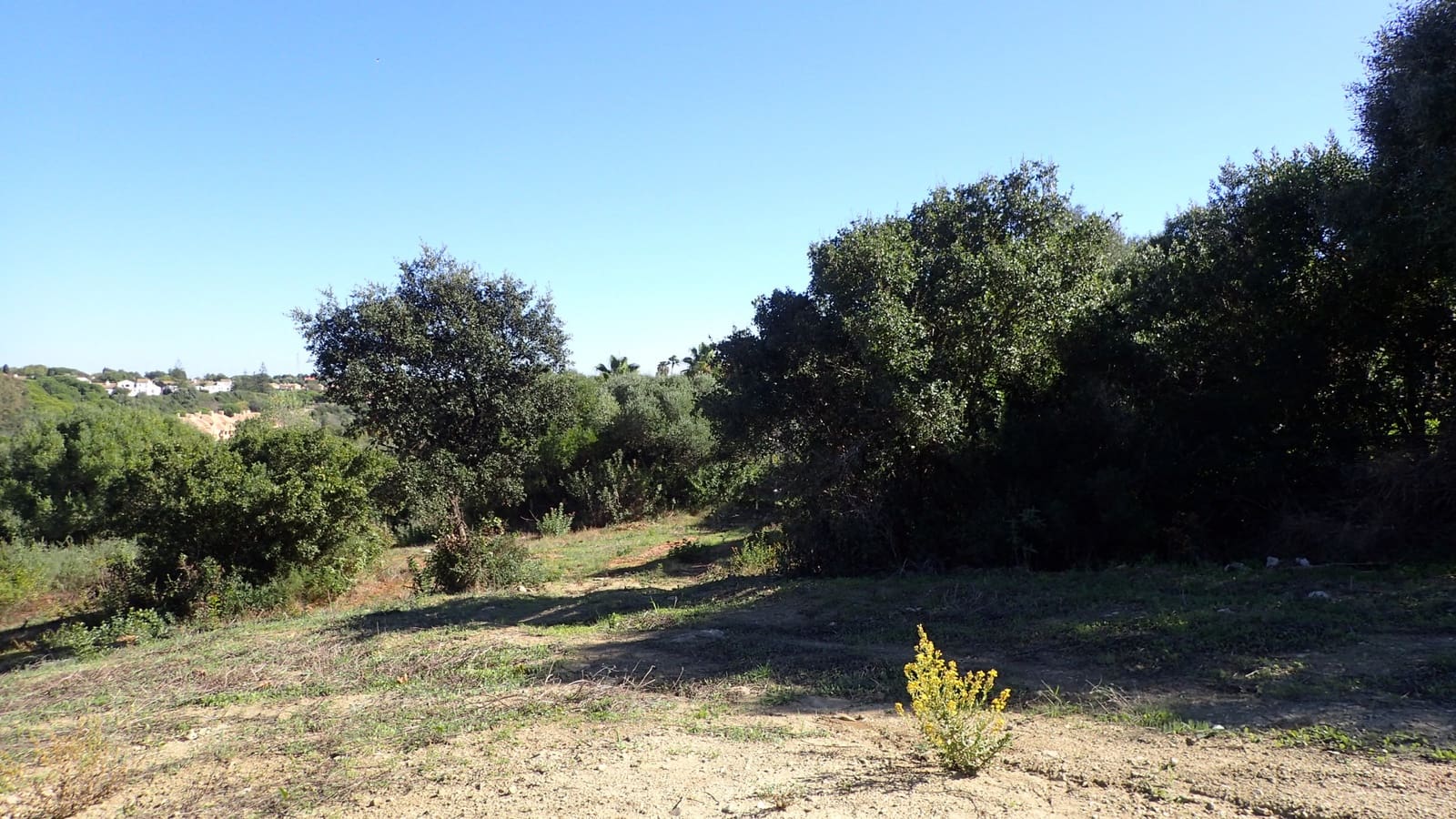 Byggegrund til salg i Sotogrande - € 395.000 (Ref: 6685403)