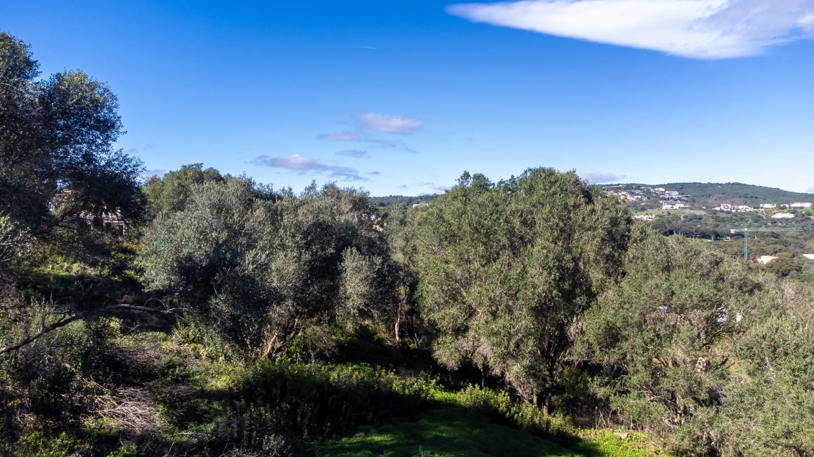 Byggegrund til salg i Sotogrande - € 395.000 (Ref: 6685403)