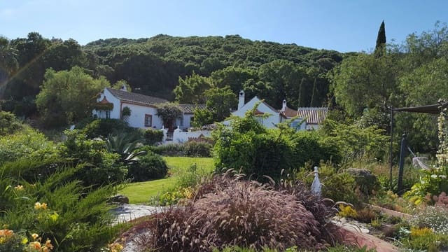 6 makuuhuone Maalaistalo myytävänä paikassa Tarifa mukana uima-altaan 
autotalli - 4 550 000 € (Ref: 8040441)