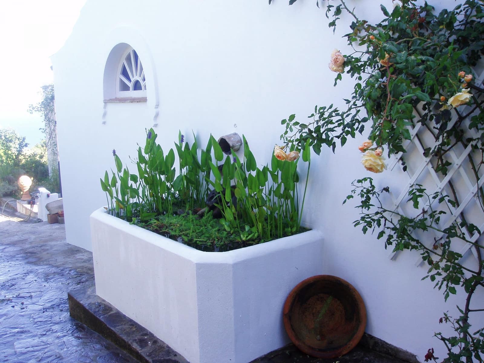 6 soverom Finca/Herregård til salgs i Tarifa med svømmebasseng garasje - € 4 550 000 (Ref: 8040441)