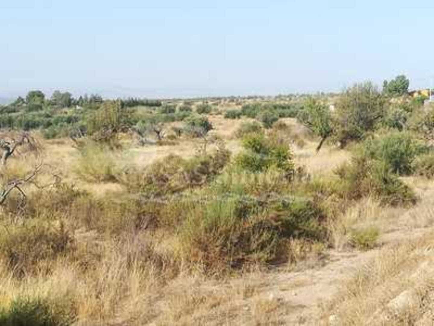 Undeveloped Land for sale in Huercal-Overa - € 40,000 (Ref: 1187130)