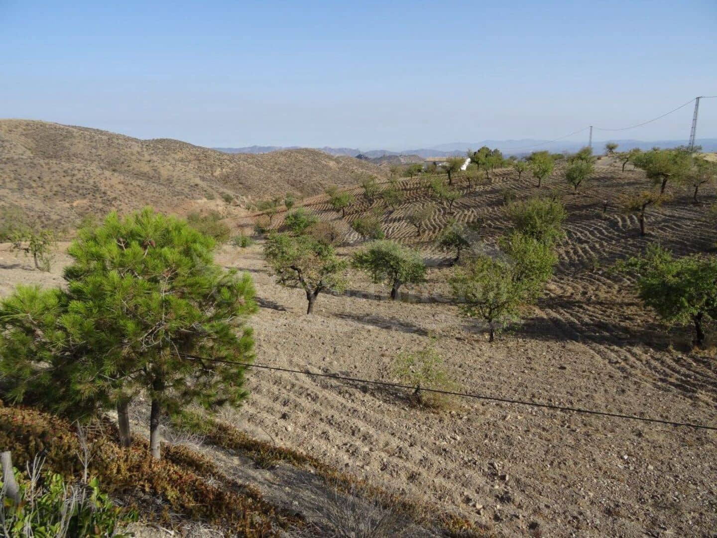 Erhverv til salg i Huercal-Overa - € 45.000 (Ref: 1868507)