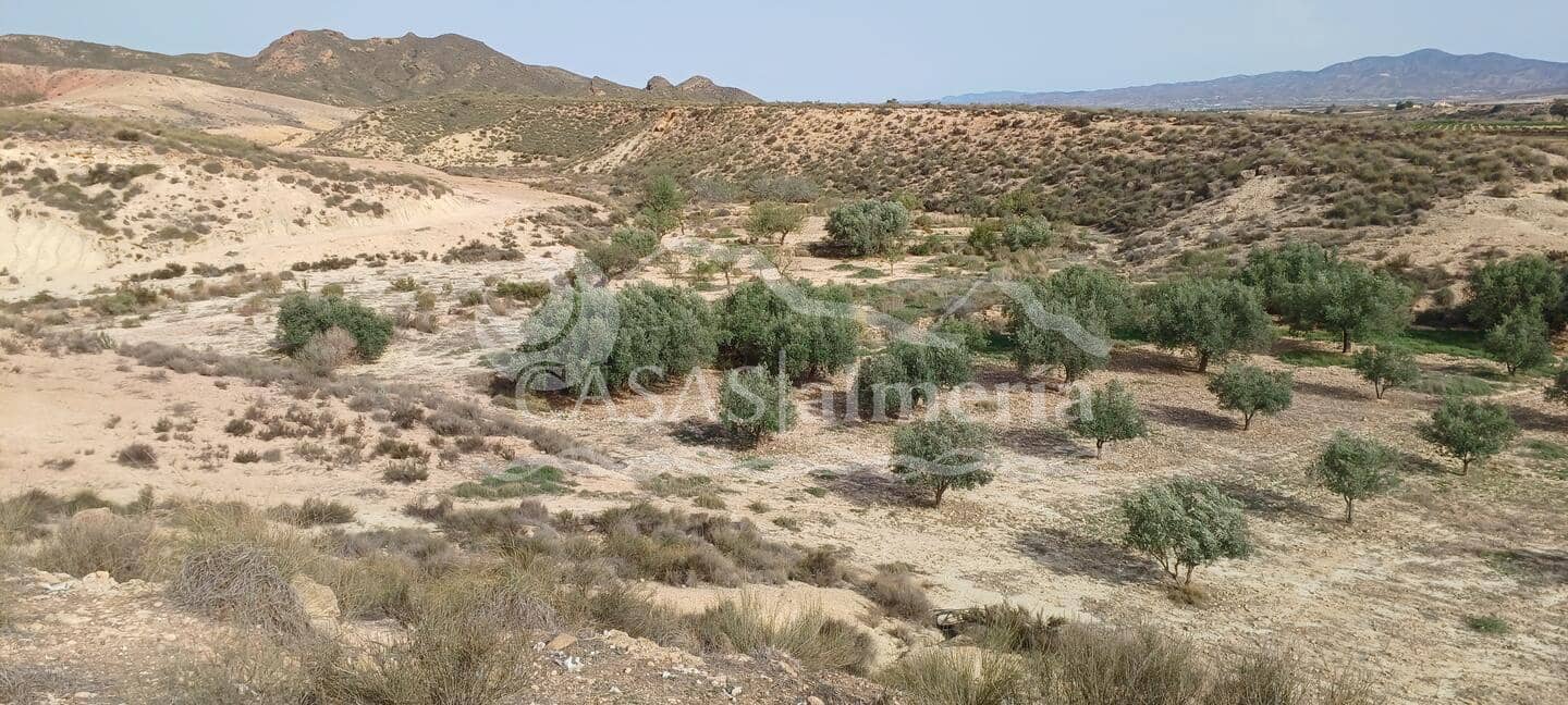 Finca/Herregård til salgs i Huercal-Overa - € 630 000 (Ref: 1870214)