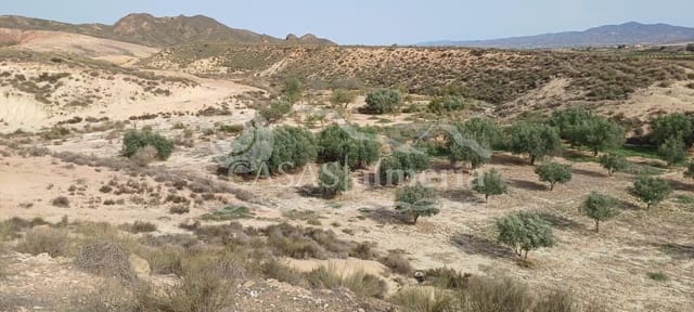 Finca/Herregård til salgs i Huércal-Overa - € 630 000 (Ref: 1870214)