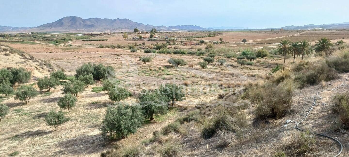 Finca/Herregård til salgs i Huercal-Overa - € 630 000 (Ref: 1870214)