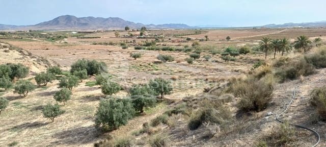 Finca/Herregård til salgs i Huércal-Overa - € 630 000 (Ref: 1870214)