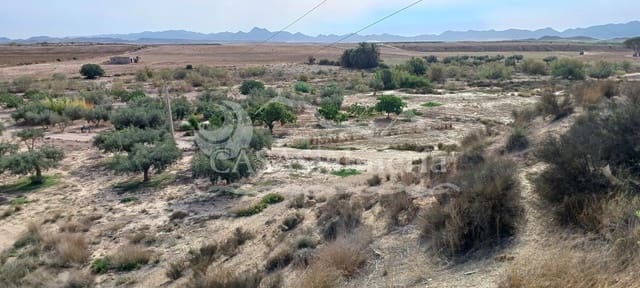 Finca/Herregård til salgs i Huércal-Overa - € 630 000 (Ref: 1870214)