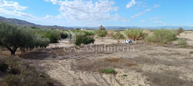 Kommersiell till salu i Huércal-Overa - 89 000 € (Ref: 1901821)