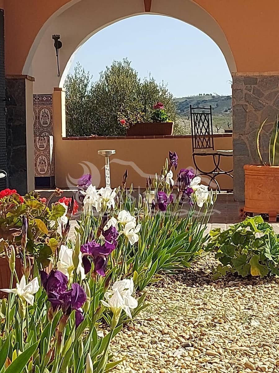 5 bedroom Finca/Country House for sale in Velez-Rubio with garage - € 299,000 (Ref: 2052413)