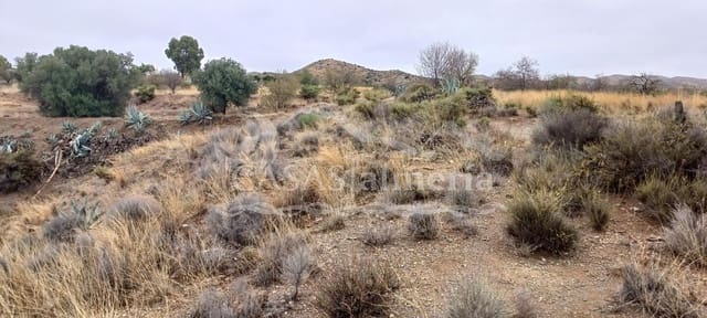 Terre non Aménagée à vendre à Urcal, Huércal-Overa - 5 000 € (Ref: 2186000)